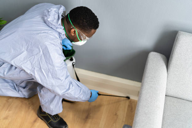 Best Real Estate Pest Inspections  in Jamesport, NY